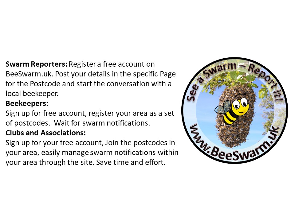 Facebook Banner